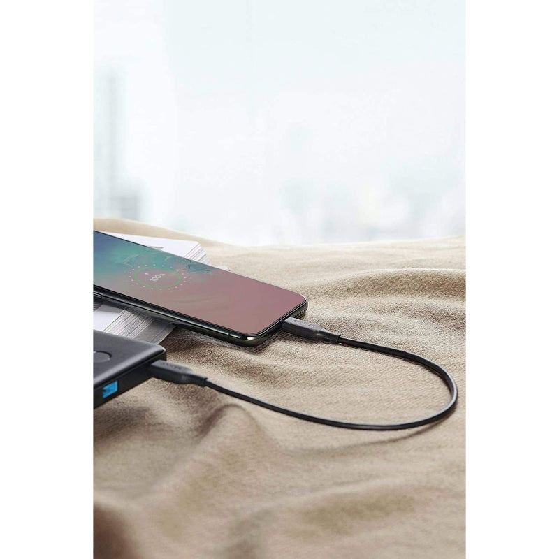 Anker PowerLine III USB-C & USB-C ケーブル (USB2.0対応) 0.3m